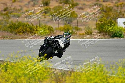 media/May-10-2024-2WTD (Fri) [[c88d7990af]]/Group C/Session 2-The Bowl/